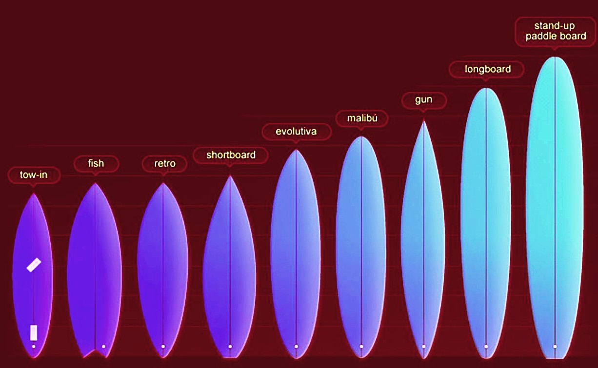 Crestomatia Tipos de tablas de surf